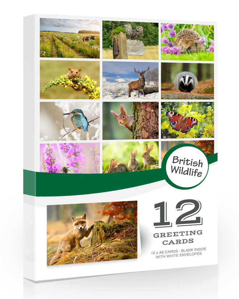 British Wildlife Blank Greeting Cards Pack 12 by Olivia Samuel